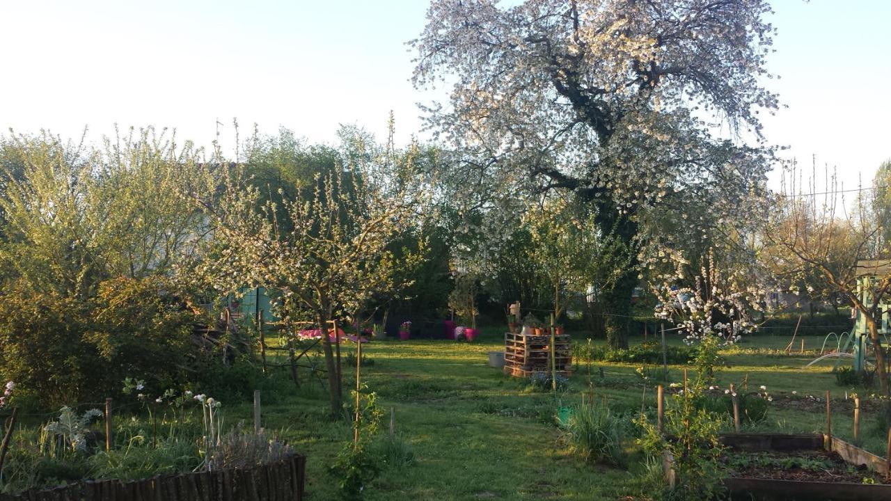 Chambre D'Hotes A La Campagne Nevers Challuy Zewnętrze zdjęcie