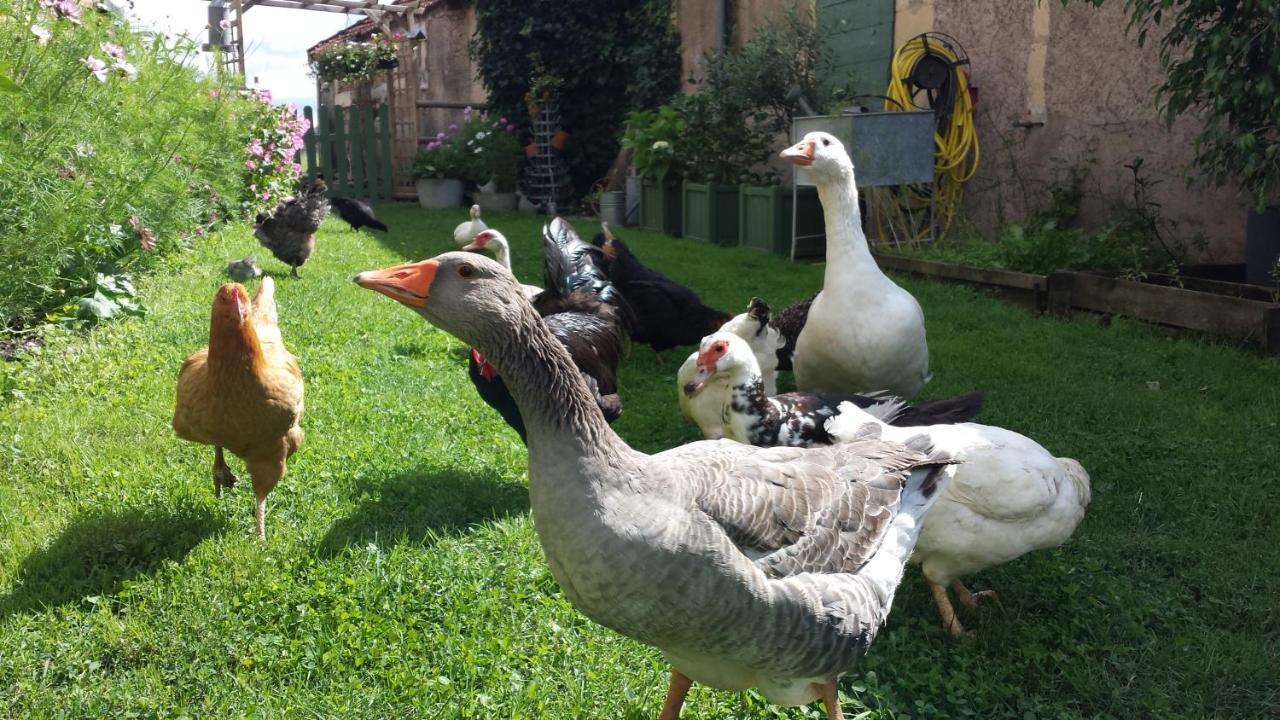 Chambre D'Hotes A La Campagne Nevers Challuy Zewnętrze zdjęcie